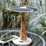 solar energy