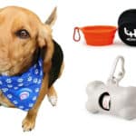 branded items for dogs