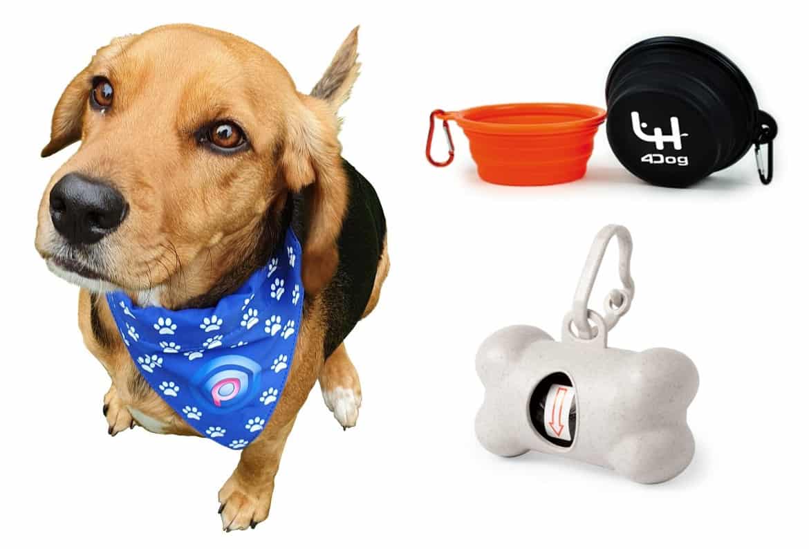 branded items for dogs