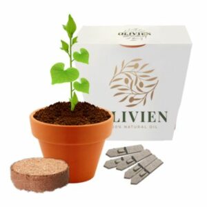 Clay Pot Gardens