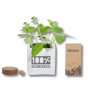 Concrete Grow Kit