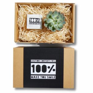 Concrete Pot Hamper