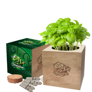 Desktop Cube Gardens