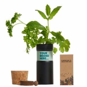 Desktop Garden