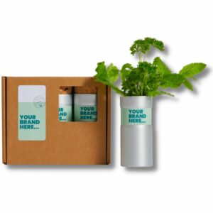 Desktop Garden Box of Three