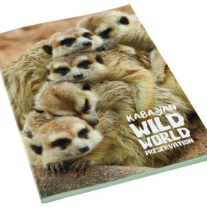 Smart-Book - A4
