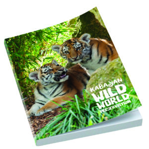 Smart-Book - A6