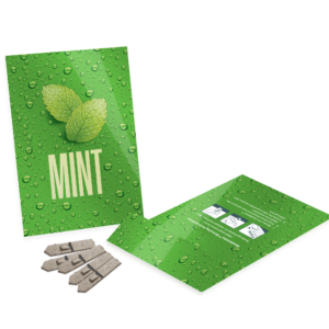Seed Packet Envelopes - Medium