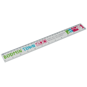 Ruler 30cm