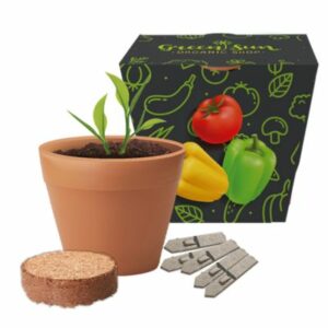 Recycled Pot Gardens