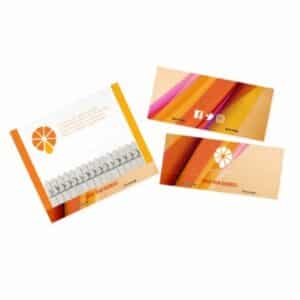 Standard Seedsticks® - Large