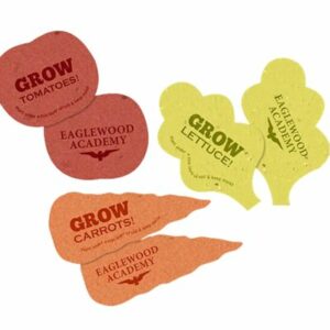 Seeded Paper Medium Shapes - Double Sided