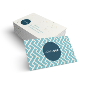 Seeded Paper Business Cards - Double Sided