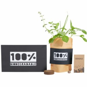 Social Media Seeds