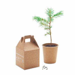 Grow Tree