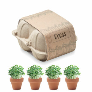 Cress Egg Carton Tray