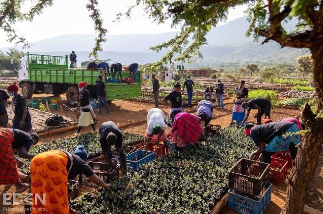 Eden Reforestation Projects