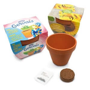 10cm Terracotta Maxi Pot
