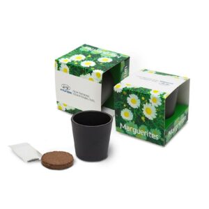 Ceramic Grow Kit