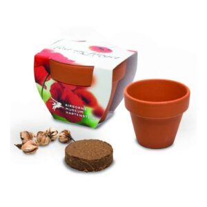 5cm Terracotta Pot