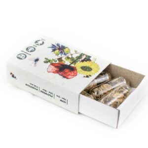 Seed Pill Box
