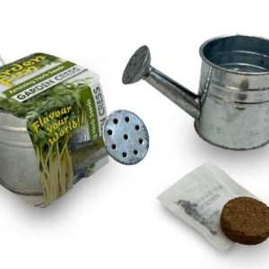 Zinc Watering Can