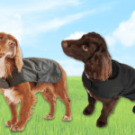 dual-branded barbour dog coats